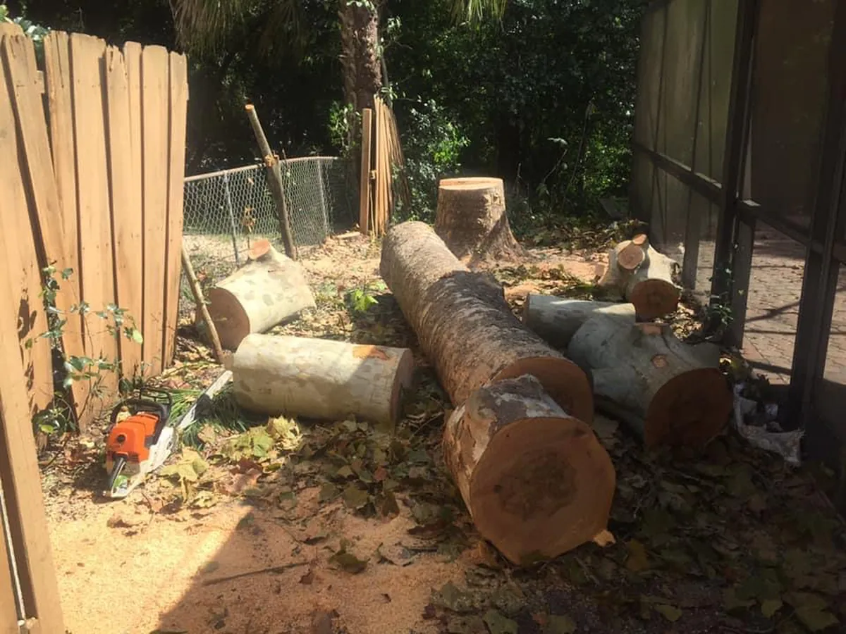 Cut trunk rounds stacked in the narrow side yard between a wood fence and the screen enclosure in Daytona Beach