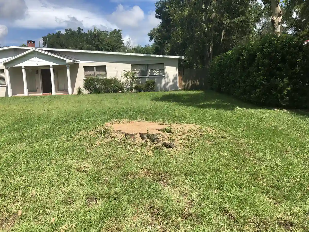 Open Daytona Beach front lawn with a freshly ground stump where the mossy oak stood