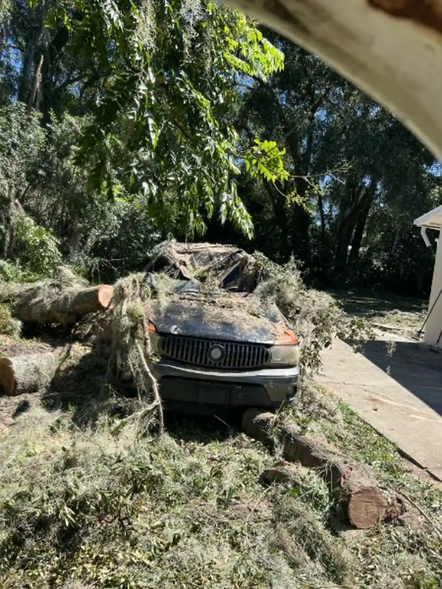 Storm-Toppled Oak Removal and Vehicle Recovery in DeBary