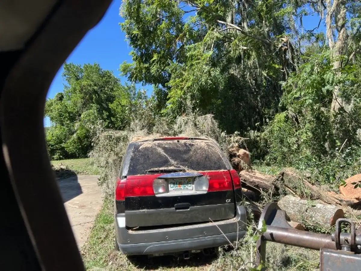 Storm-Toppled Oak Removal and Vehicle Recovery in DeBary