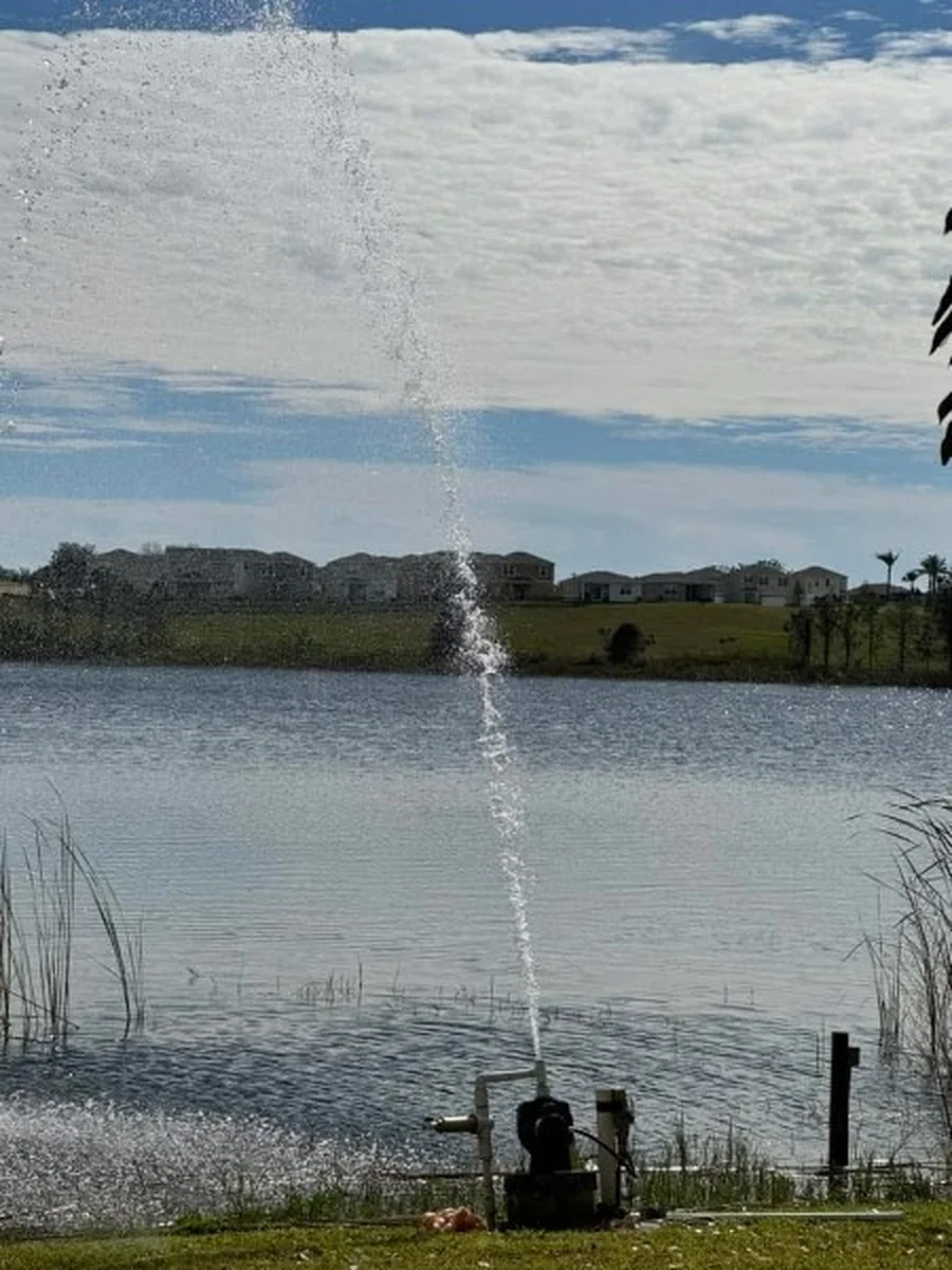 Lakefront Irrigation Pump and Pipe Replacement in DeLand
