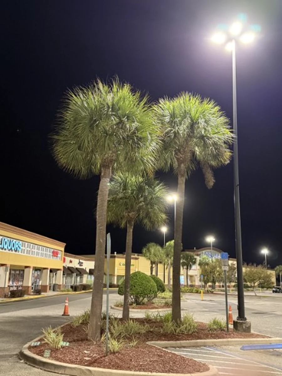 Roeling Green Lawns tree planting work in DeLand, FL