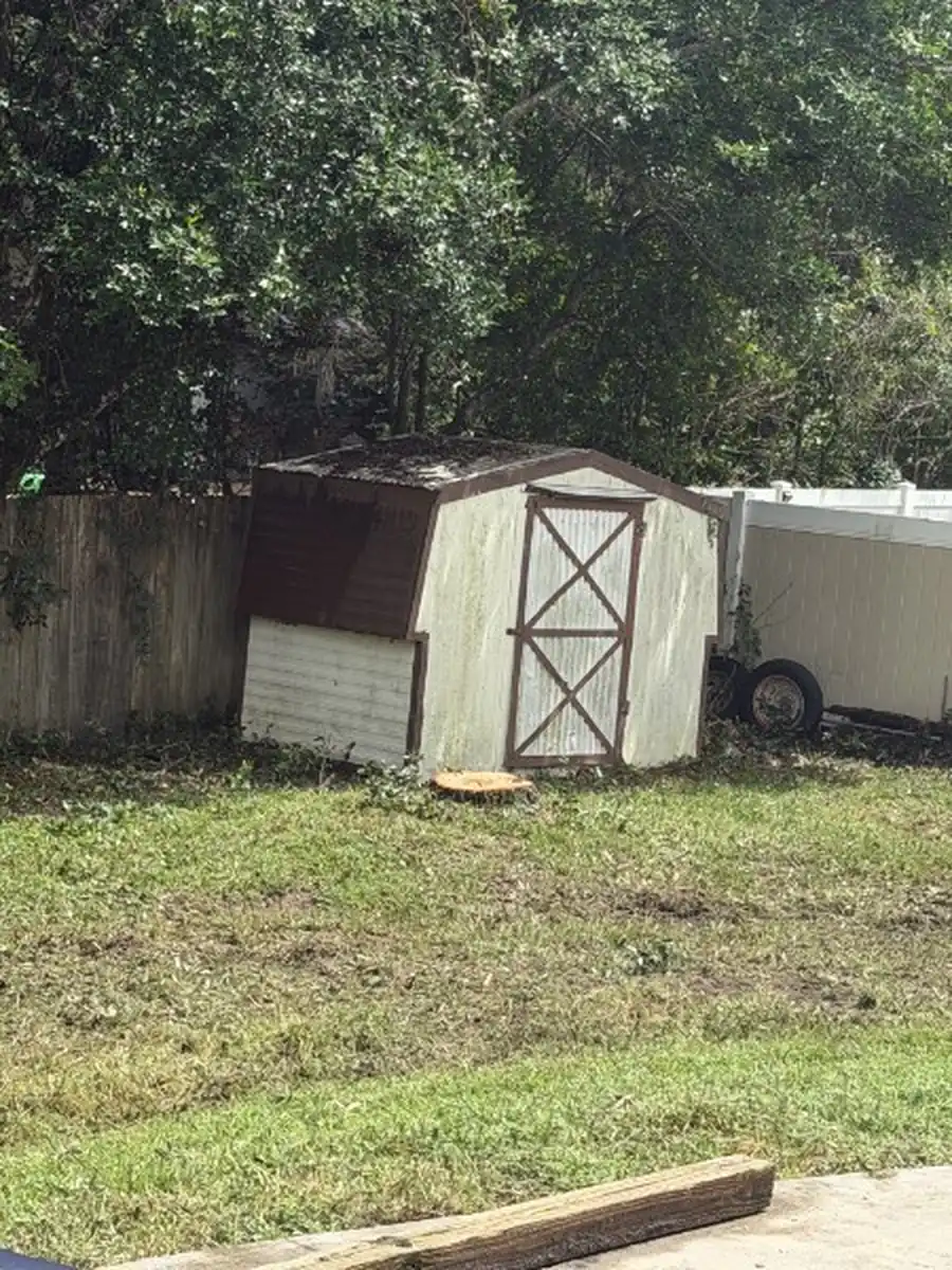 The DeLand storage shed and fence standing undamaged after the leaning oak was rigged down and the yard cleared