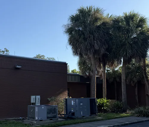 Sabal palms crowding the AC units and brick wall at the Orlando property before any work