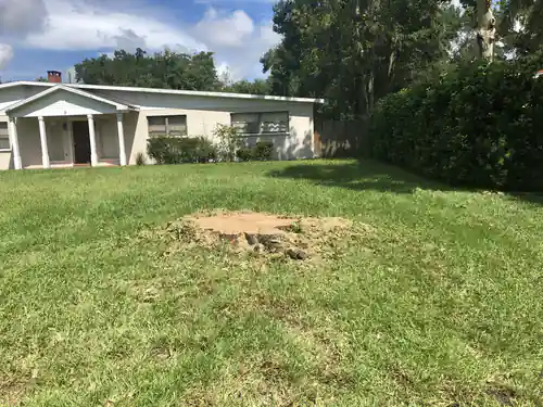 Removing a Moss Laden Oak at a Daytona Beach Home