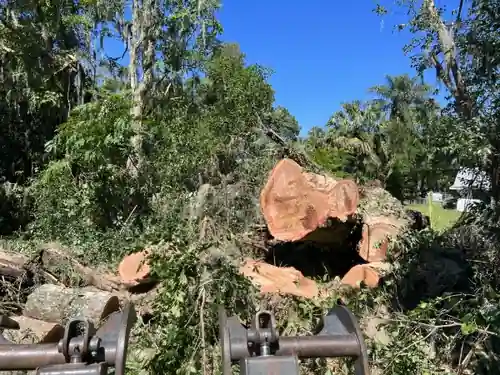 Storm-Toppled Oak Removal and Vehicle Recovery in DeBary