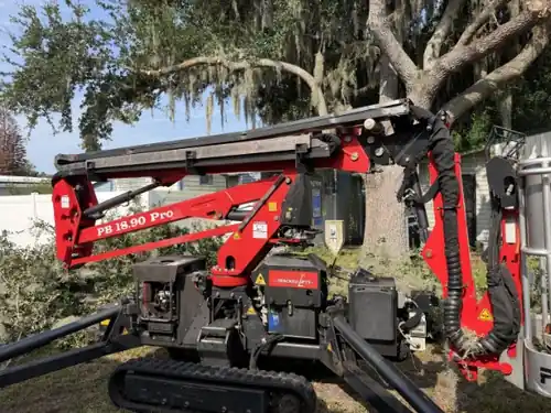 Tree Trimming With a Lift in DeBary