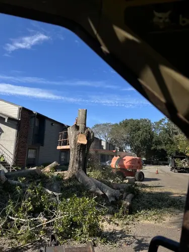 Large Oak Removal at a DeLand Apartment Community