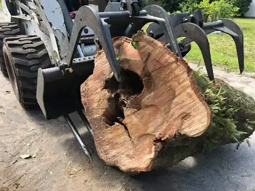 Bobcat hauling the last log out of the cleared yard