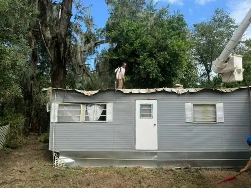 Tree service in DeLand, FL