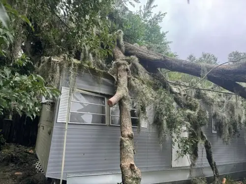 Storm Oak Removal Off a DeLand Home
