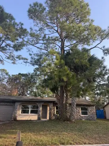Large Pine Removal Over a Deltona Home