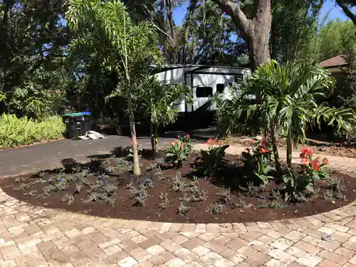 Driveway Island Landscape Bed in Winter Garden