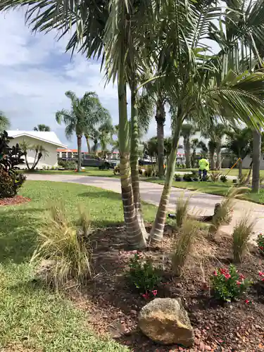 Finished bed with muhly grass and a boulder accent beside the walk in New Smyrna Beach