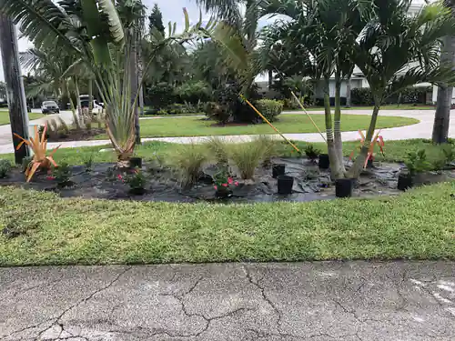 Center section of the New Smyrna Beach bed staged with grasses and flowering plants