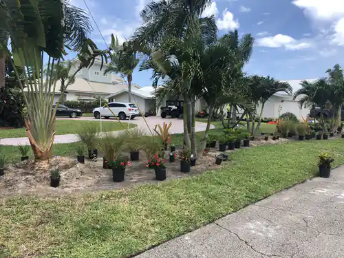 Plants delivered and staged across the front yard bed in New Smyrna Beach