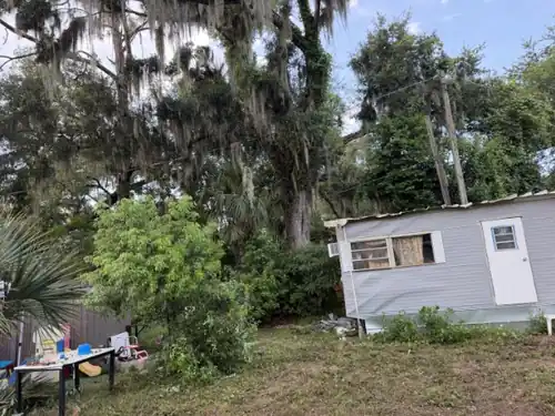 Cleared yard and intact home after oak removal in Orange City, FL