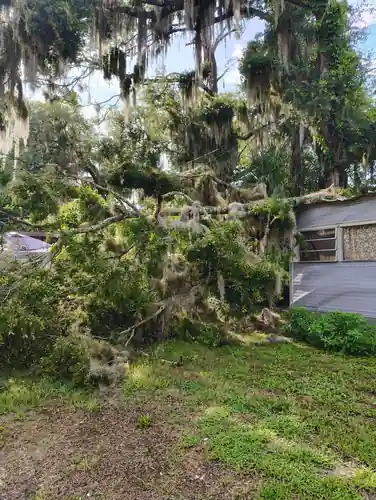 Oak fallen across a home in Orange City, FL