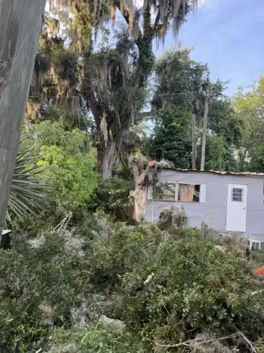 Sectioning the fallen oak off the home in Orange City, FL