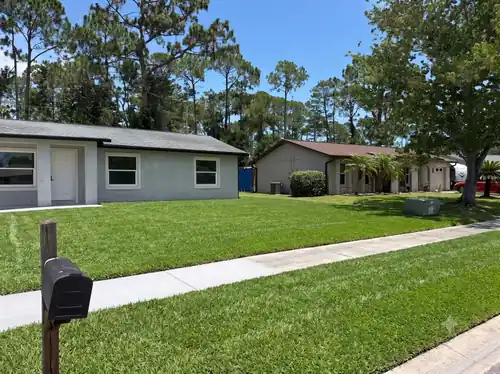 The established Bahia lawn three months after installation
