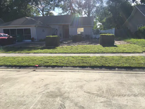 Newly laid sod running to the sidewalk at the DeLand property