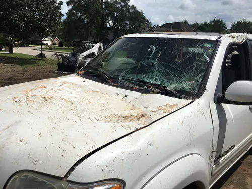 Smashed windshield and dented hood on the pickup struck by the fallen DeLand tree
