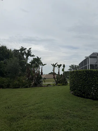 Backyard beds and hedge cleaned up at the DeBary property after the trimming work