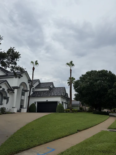 Front of the DeBary home with both Mexican fan palms trimmed above the driveway