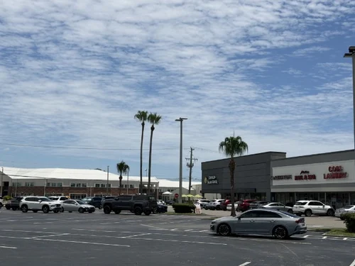 Clean, uniform palm crowns down the finished parking lot row
