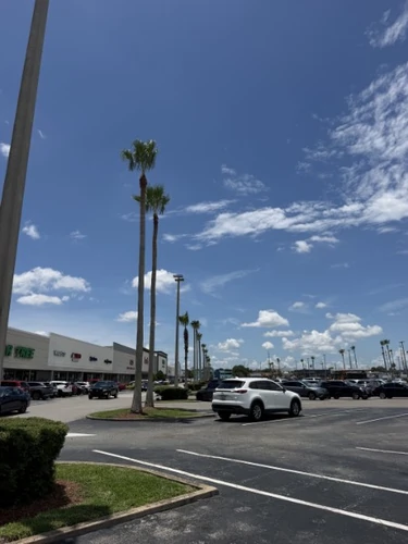 Clean, uniform palm crowns down the finished parking lot row
