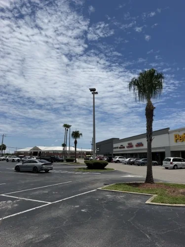 Clean, uniform palm crowns down the finished parking lot row