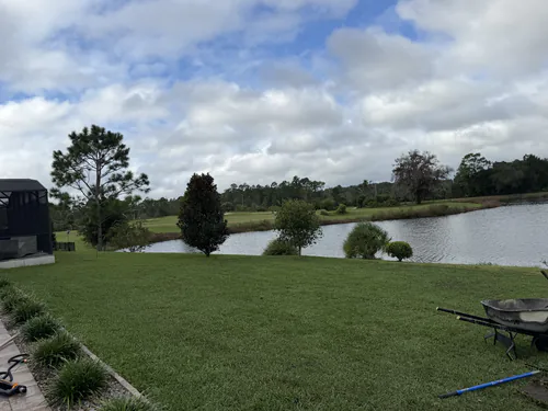 After: new sod running down the backyard to the pond