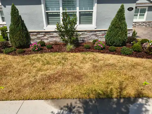 Before: brown lawn in front of the planting bed at the DeLand home