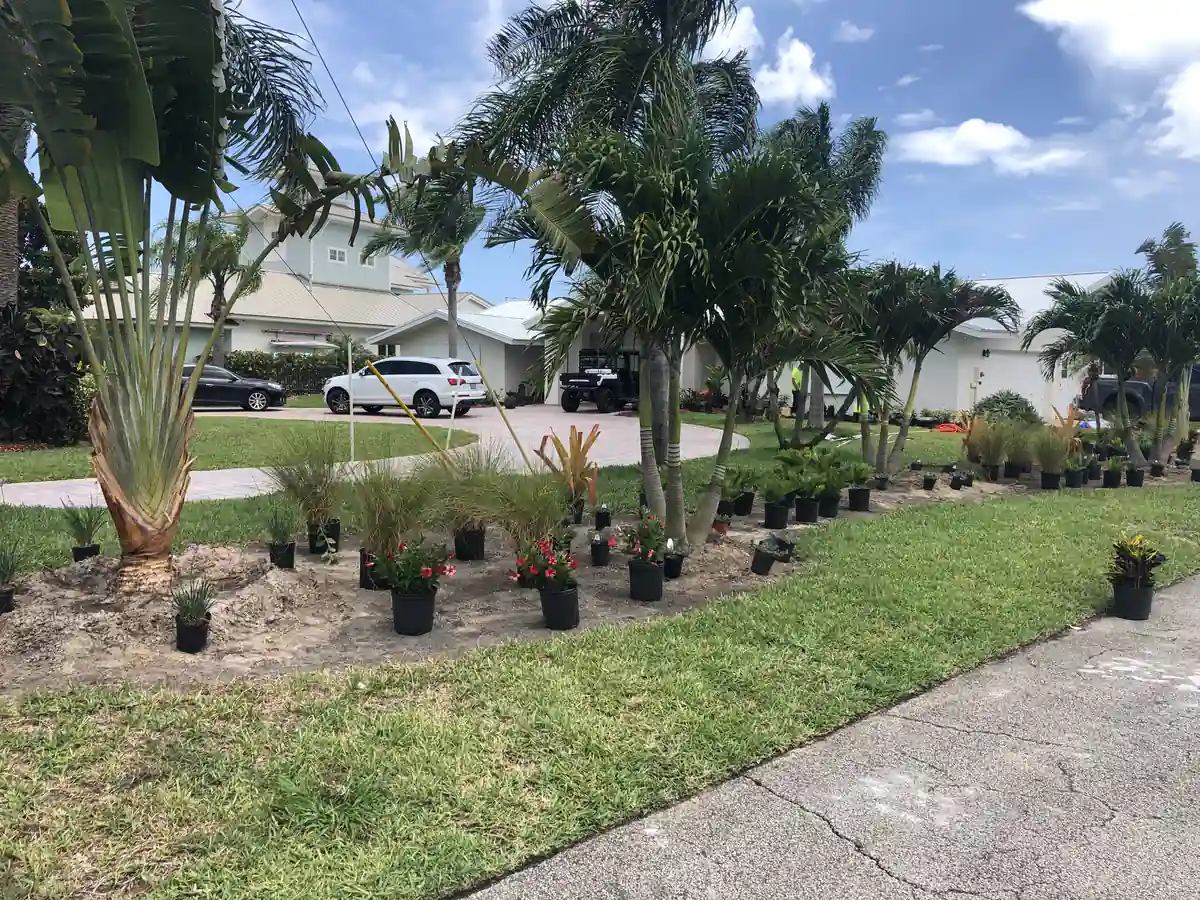 Nursery plants staged in pots along the new bed line at the New Smyrna Beach property