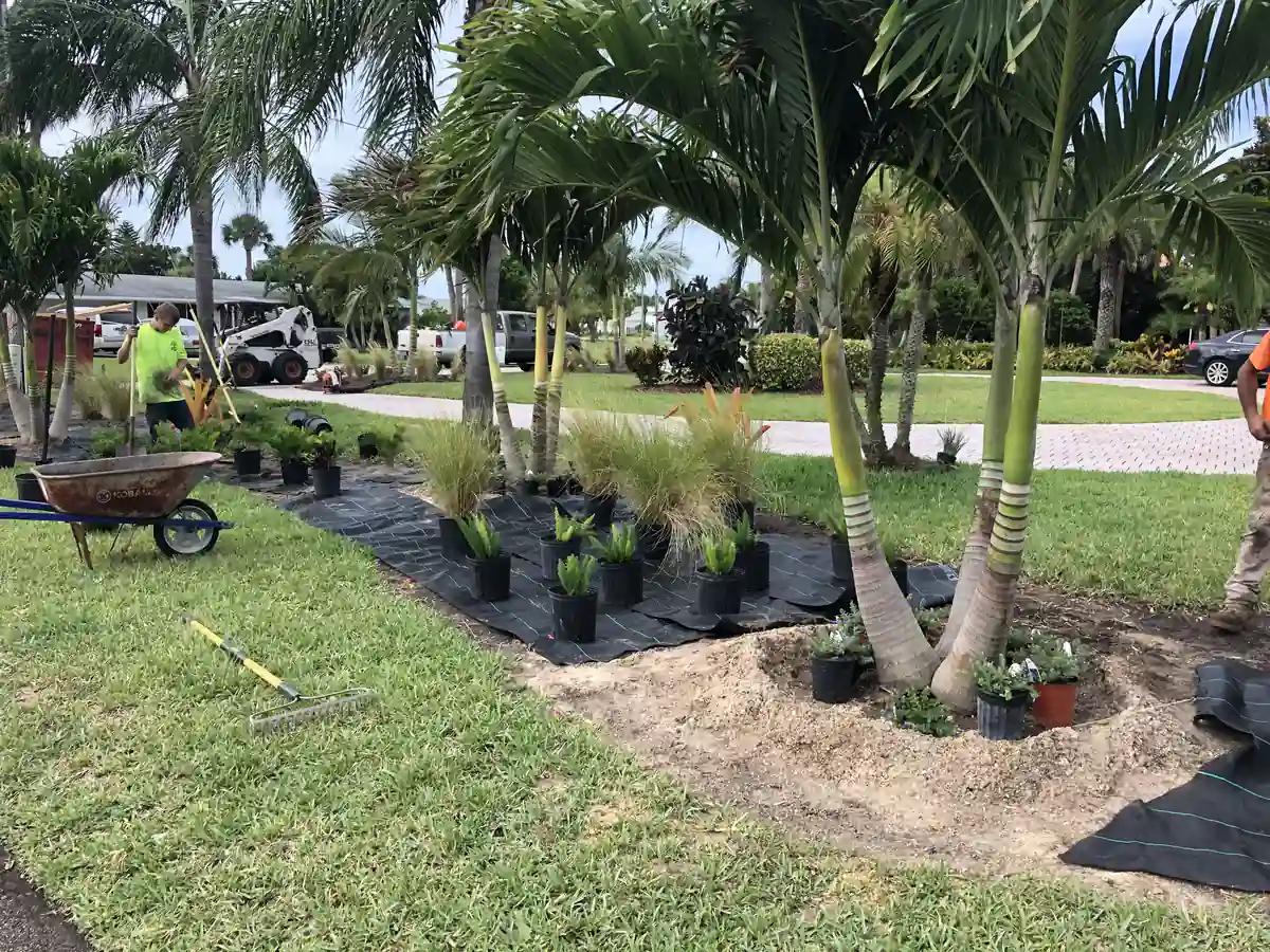 Crew staging grasses and shrubs in position along the curved bed edge in New Smyrna Beach