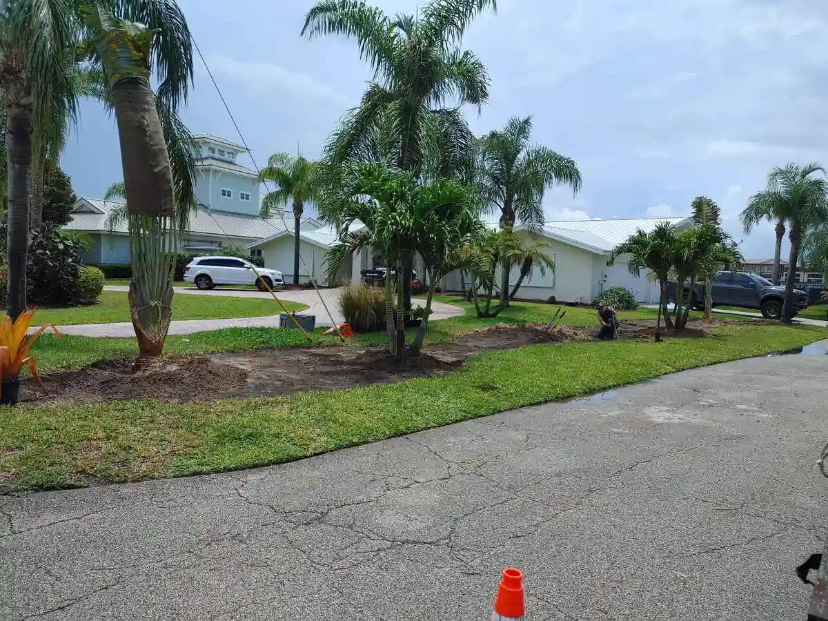 Landscape fabric and fresh mulch going down around the newly planted palms in New Smyrna Beach