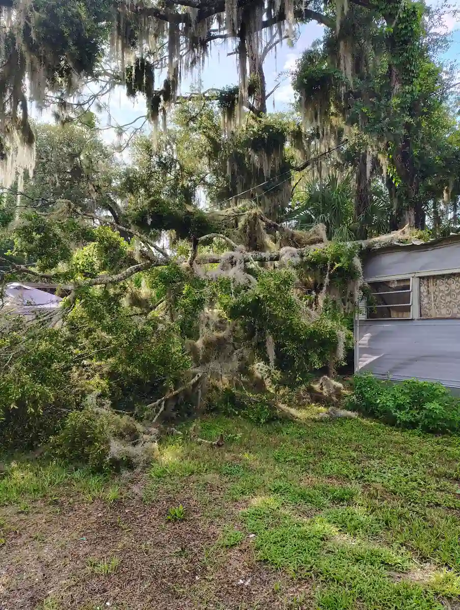 Large oak fallen across a home in Orange City, FL