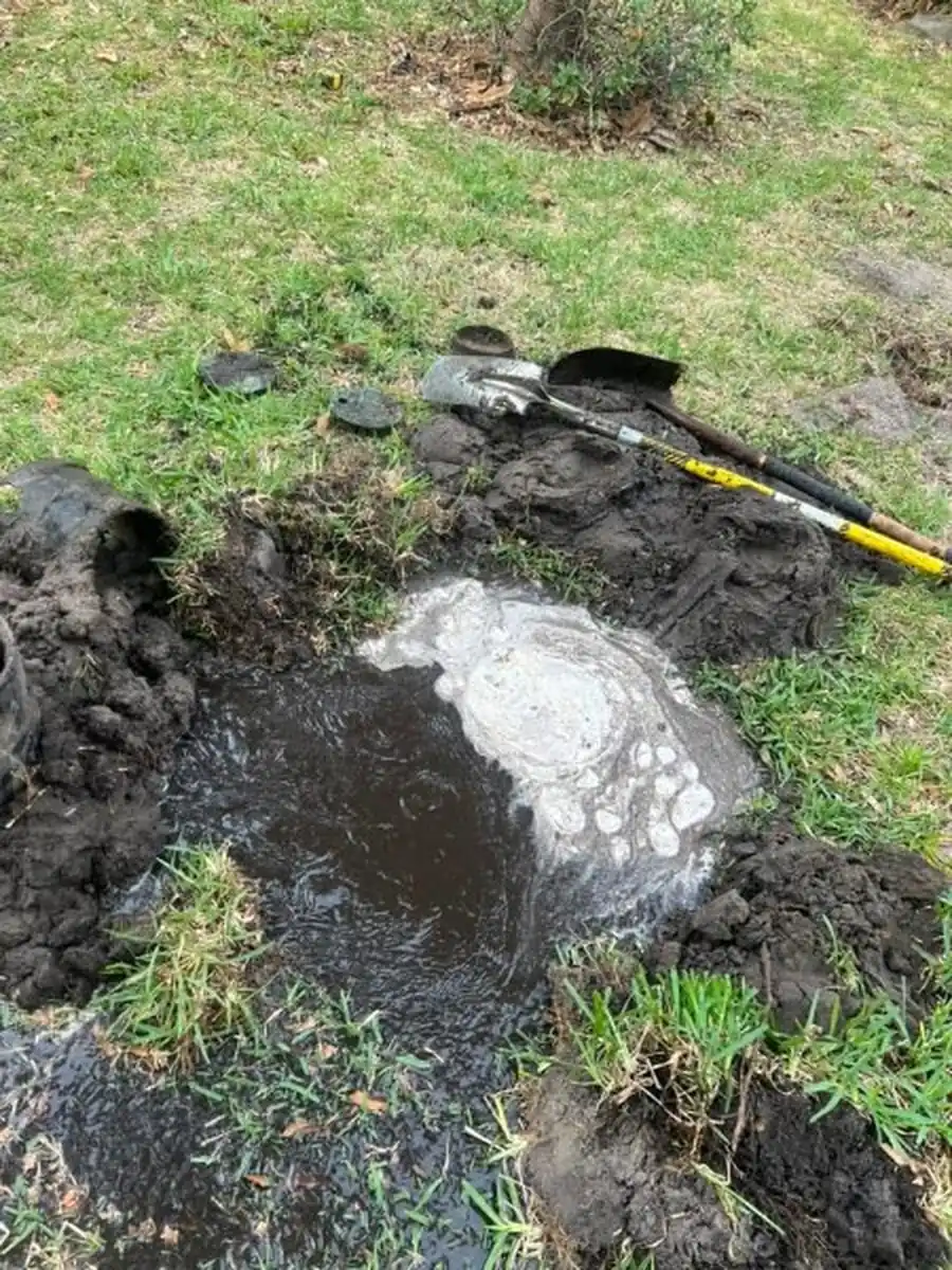 Diagnosing and Replacing Failed Irrigation Lines in Sanford