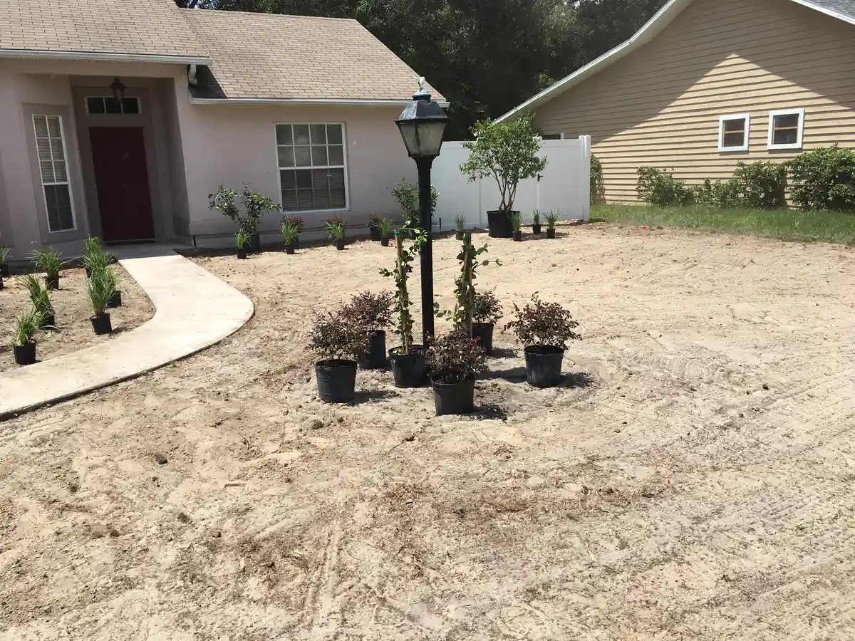 Graded sand, a new curved front walk and shrubs staged in pots at the DeLand home before planting