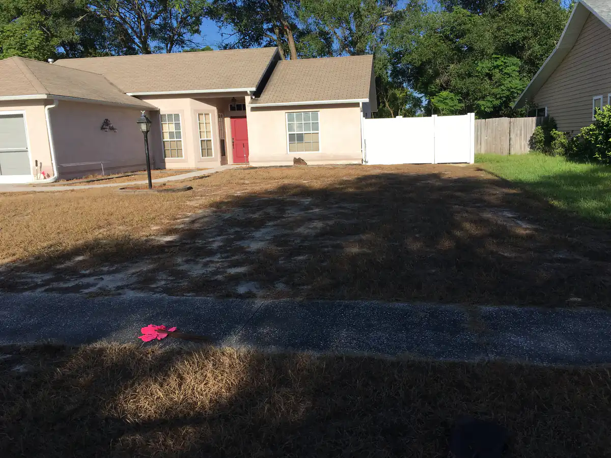 The same DeLand front yard stripped back to bare ground after the old turf was killed off