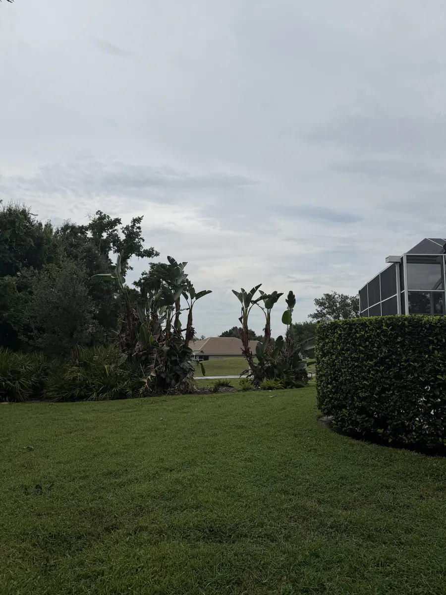 Cleaned up backyard bed of bird of paradise and saw palmetto beside a trimmed hedge at the DeBary home
