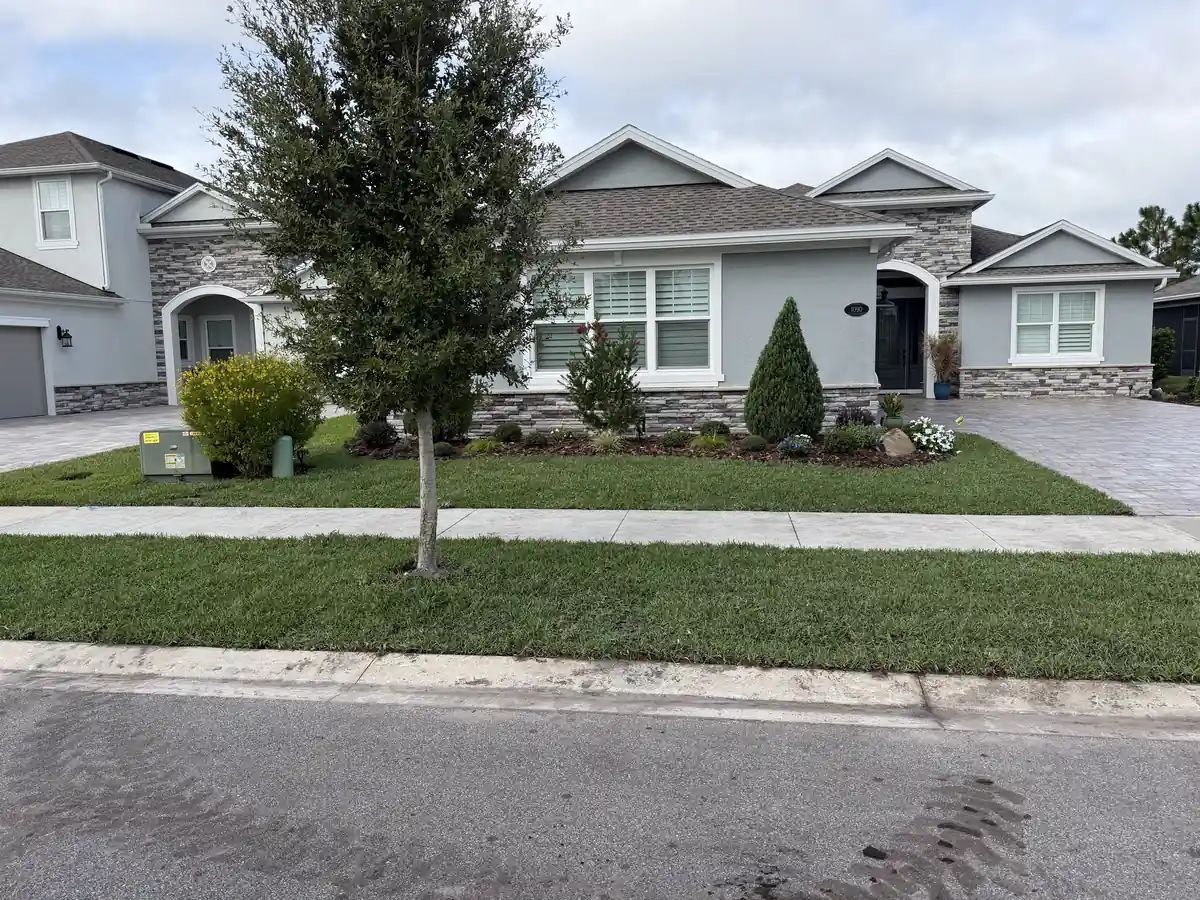 Finished Citra Blue St. Augustine lawn across the front yard and the strip along the street at a Victoria Park home in DeLand
