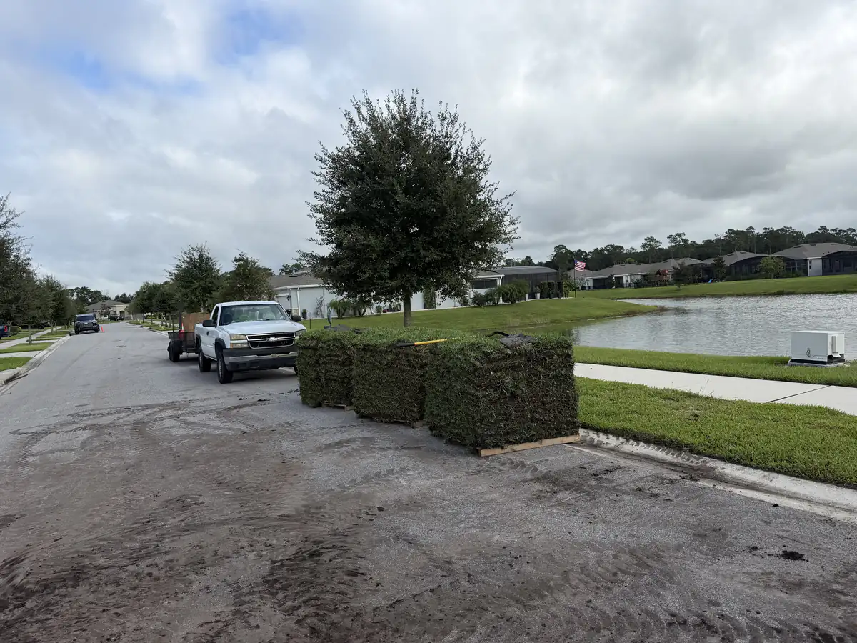 During: pallets of fresh Citra Blue sod staged at the curb across from a pond in Victoria Park, with the crew truck and trailer behind them